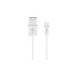 goobay Dual Apple Lightning charger set Adapter 5V